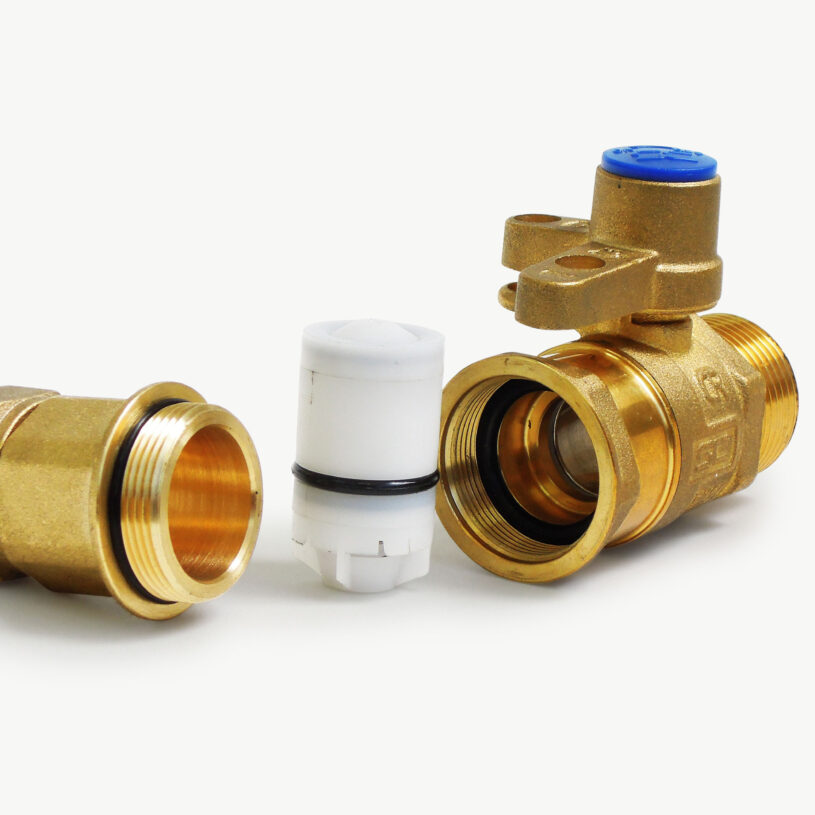 Inline Ball Valve Dual Check Valve – DN15 BSP