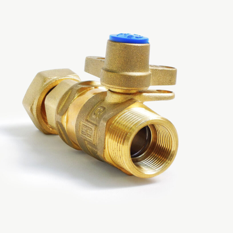 Inline Ball Valve Dual Check Valve DN20 – BSP