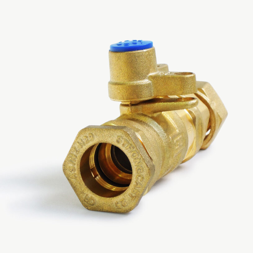 Inline Ball Valve Dual Check Valve DN20 – PE25