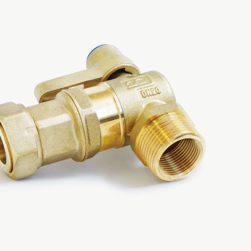 Angle Ball Valve Dual Check Valve DN20 – BSP