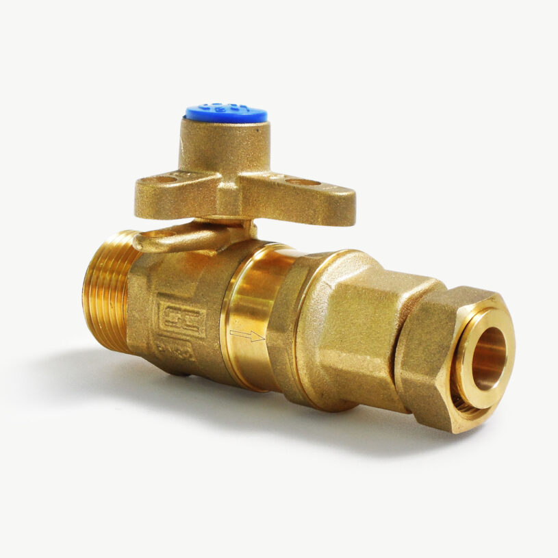 Inline Ball Valve Dual Check Valve – DN15 BSP