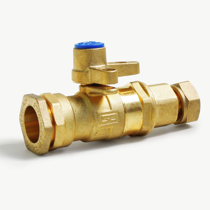 Inline Ball Valve Dual Check Valve DN15 – PE25
