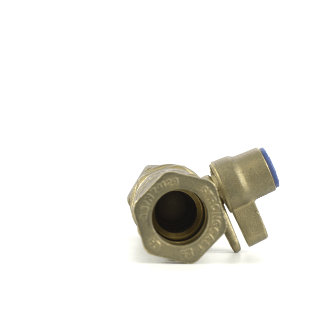 Inline Ball Valve Dual Check Valve DN20 – PE25