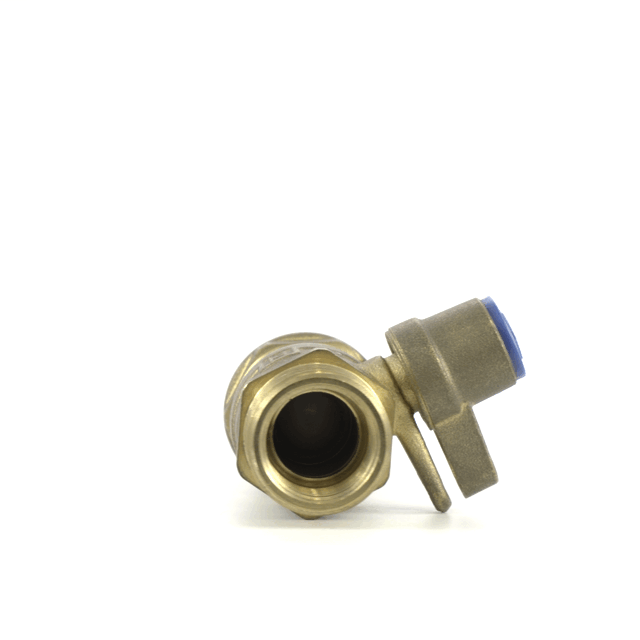 Inline Ball Valve Dual Check Valve – DN15 BSP