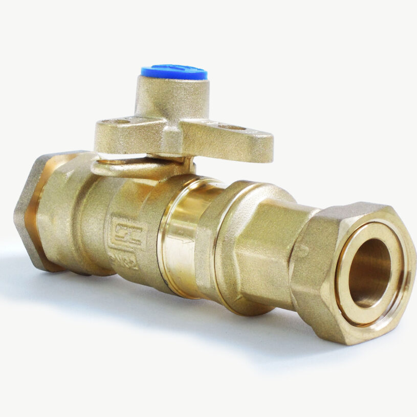 Inline Ball Valve Dual Check Valve DN20 – PE25
