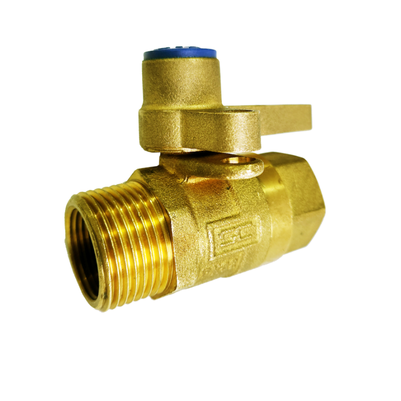 DN20 Ball Valve BSP