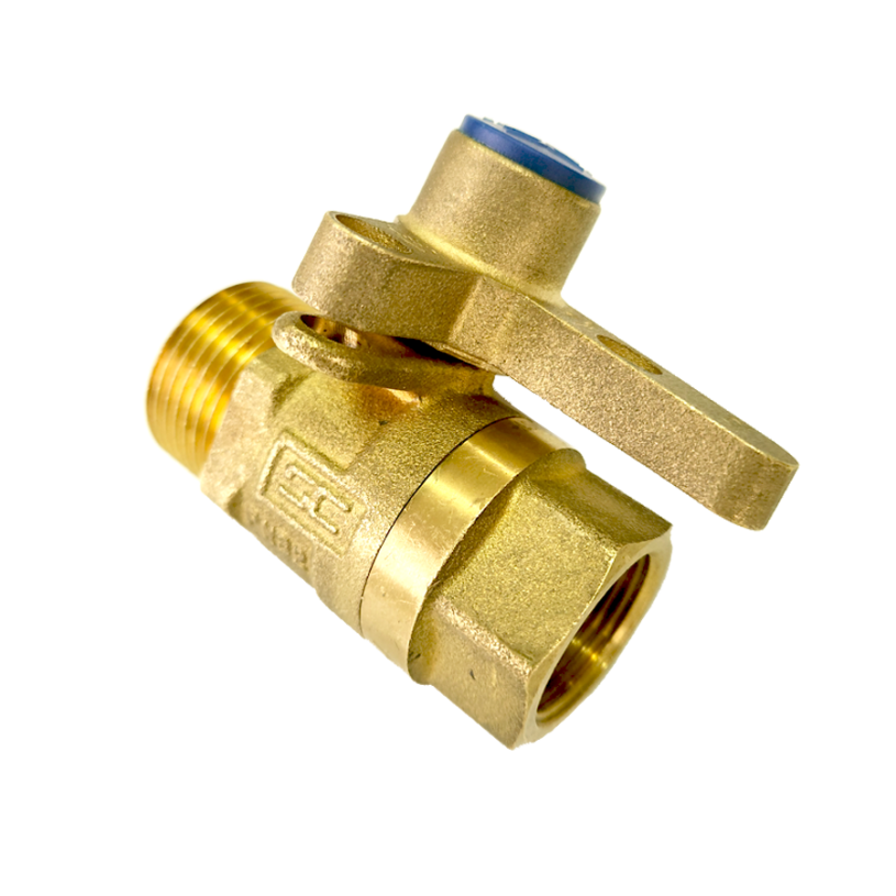 DN20 Ball Valve BSP