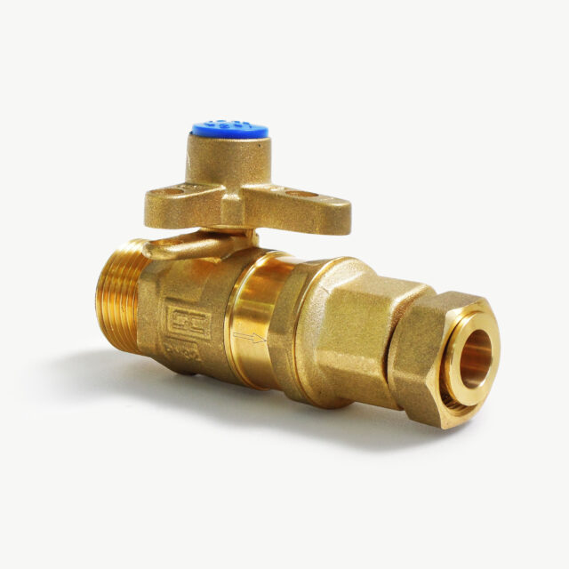 Inline Ball Valve Dual Check Valve DN20 – BSP