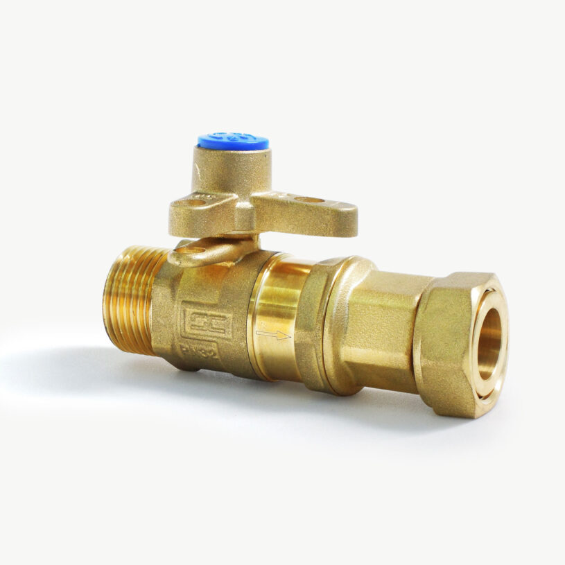 Inline Ball Valve Dual Check Valve DN20 – BSP